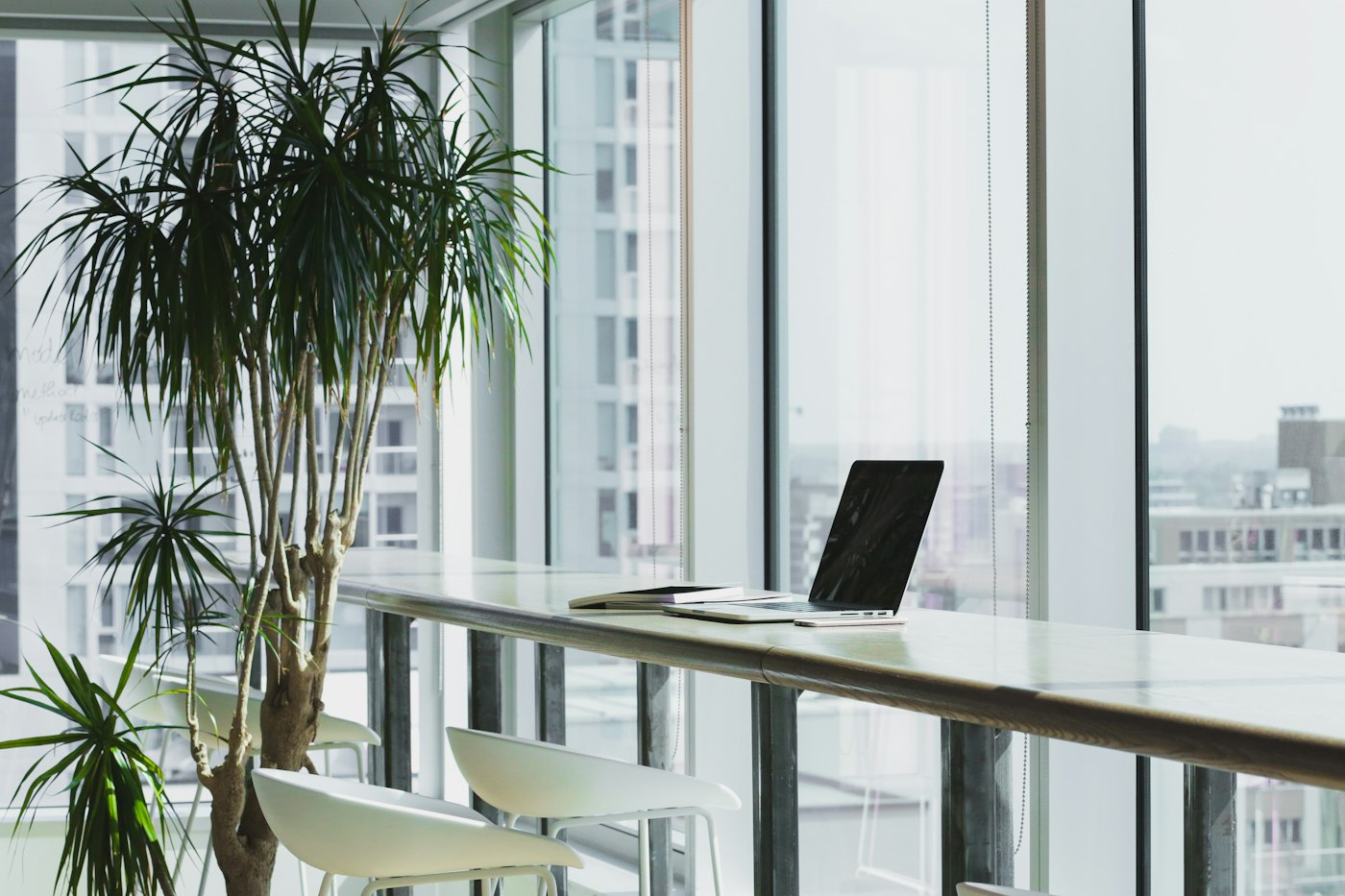 Light-filled office workbench beside tall windows